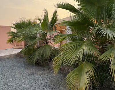Wadi Retreat