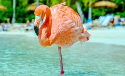 The most beautiful beaches